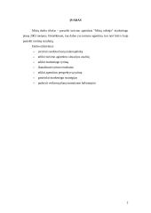 Marketingo planas: turizmo agentūra "Mūsų odisėja" 2 puslapis