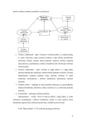 Marketingo planas: turizmo agentūra "Mūsų odisėja" 8 puslapis