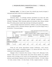 Marketingo planas: viešbutis "Apple Economy Hotel" 2 puslapis