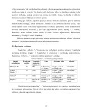 Marketingo planas: viešbutis "Apple Economy Hotel" 11 puslapis