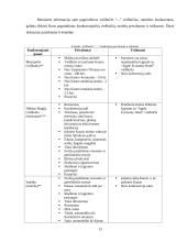 Marketingo planas: viešbutis "Apple Economy Hotel" 12 puslapis