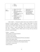 Marketingo planas: viešbutis "Apple Economy Hotel" 13 puslapis