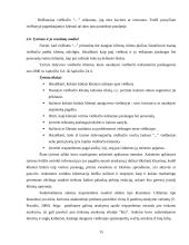 Marketingo planas: viešbutis "Apple Economy Hotel" 14 puslapis