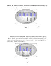 Marketingo planas: viešbutis "Apple Economy Hotel" 18 puslapis