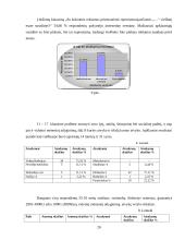 Marketingo planas: viešbutis "Apple Economy Hotel" 19 puslapis
