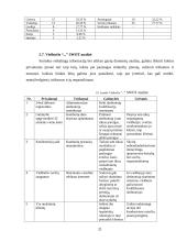 Marketingo planas: viešbutis "Apple Economy Hotel" 20 puslapis