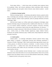 Marketingo planas: viešbutis "Apple Economy Hotel" 5 puslapis