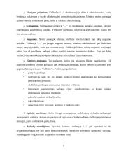 Marketingo planas: viešbutis "Apple Economy Hotel" 7 puslapis