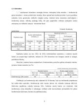 Marketingo planas: viešbutis "Apple Economy Hotel" 8 puslapis