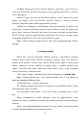 Marketingo planas: viešbutis "Best Western Santaka" 11 puslapis