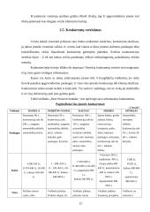 Marketingo planas: viešbutis "Best Western Santaka" 12 puslapis