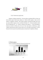 Marketingo planas: viešbutis "Best Western Santaka" 19 puslapis