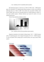 Marketingo planas: viešbutis "Best Western Santaka" 20 puslapis