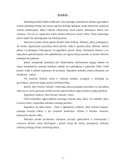 Marketingo planas: viešbutis "Best Western Santaka" 3 puslapis