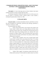 Marketingo planas: viešbutis "Best Western Santaka" 4 puslapis