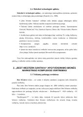 Marketingo planas: viešbutis "Best Western Santaka" 7 puslapis