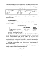 Marketingo planas: viešbutis "Best Western Santaka" 9 puslapis