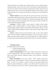 Marketingo planas: viešbutis "Vanagupė" 11 puslapis