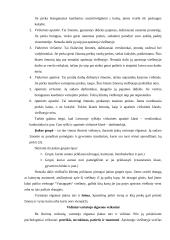 Marketingo planas: viešbutis "Vanagupė" 15 puslapis