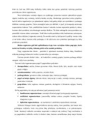 Marketingo planas: viešbutis "Vanagupė" 19 puslapis