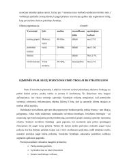 Marketingo planas: viešbutis "Vanagupė" 20 puslapis
