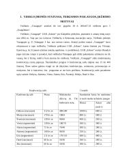 Marketingo planas: viešbutis "Vanagupė" 3 puslapis