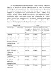 Marketingo planas: viešbutis "Vanagupė" 4 puslapis