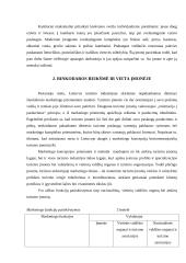 Marketingo planas: viešbutis "Vanagupė" 5 puslapis