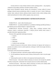 Marketingo planas: viešbutis "Vanagupė" 7 puslapis