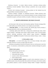 Marketingo planas: viešbutis "Vanagupė" 8 puslapis