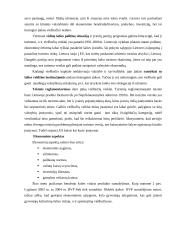 Marketingo planas: viešbutis "Vanagupė" 9 puslapis