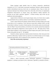 Nitratai žmogaus aplinkoje 3 puslapis