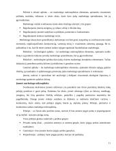 Marketingo programos kūrimas: UAB "Lietuvos Studentų ir jaunimo kelionių biuras" 11 puslapis