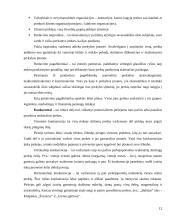 Marketingo programos kūrimas: UAB "Lietuvos Studentų ir jaunimo kelionių biuras" 12 puslapis