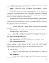 Marketingo programos kūrimas: UAB "Lietuvos Studentų ir jaunimo kelionių biuras" 15 puslapis