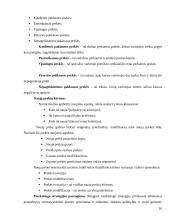 Marketingo programos kūrimas: UAB "Lietuvos Studentų ir jaunimo kelionių biuras" 16 puslapis