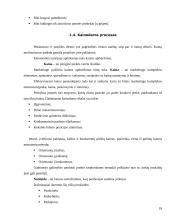 Marketingo programos kūrimas: UAB "Lietuvos Studentų ir jaunimo kelionių biuras" 18 puslapis