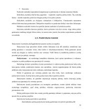 Marketingo programos kūrimas: UAB "Lietuvos Studentų ir jaunimo kelionių biuras" 19 puslapis