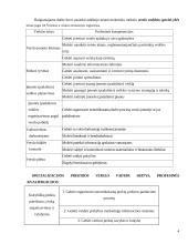 Marketingo programos kūrimas: UAB "Lietuvos Studentų ir jaunimo kelionių biuras" 4 puslapis