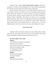Marketingo strategijos parengimas: AB "Pieno žvaigždės" 11 puslapis