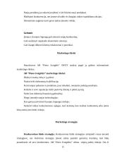 Marketingo strategijos parengimas: AB "Pieno žvaigždės" 12 puslapis