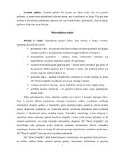 Marketingo strategijos parengimas: AB "Pieno žvaigždės" 7 puslapis