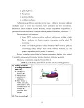 Mažeikių politechnikos mokyklos studentų poreikių tenkinimo analizė 13 puslapis