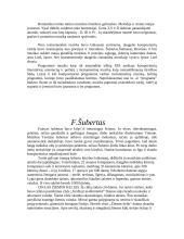 Romantizmas ir Šubertas 2 puslapis