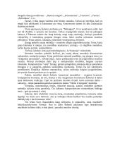 Romantizmas ir Šubertas 3 puslapis