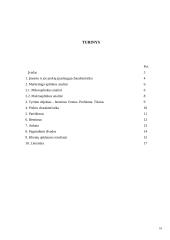 Marketingo tyrimas: naftos ir žaliavos perdirbimas AB "Mažeikių nafta" 16 puslapis