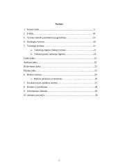 Marketingo tyrimas: teatrų populiarinimas 2 puslapis