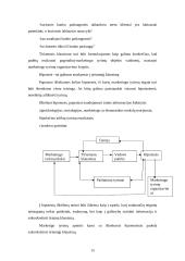 Marketingo tyrimas: teatrų populiarinimas 15 puslapis