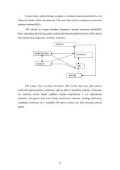 Marketingo tyrimas: teatrų populiarinimas 17 puslapis