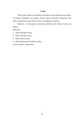 Marketingo tyrimas: teatrų populiarinimas 18 puslapis